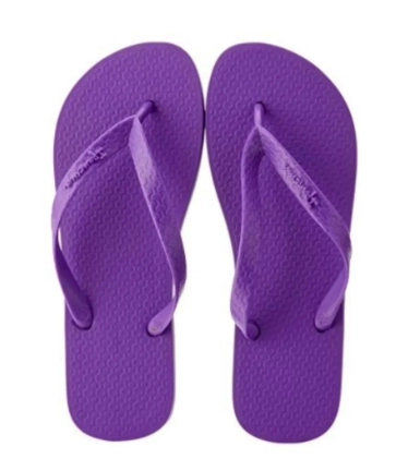 Sandalia Ipanema Classica Feminino Adulto Roxa/roxa