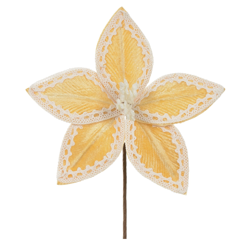 56800004 B.papag Dourado Florarte