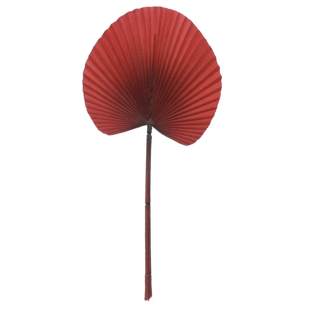 C.folha Latania Vermelho 55cm 74189001 Dea