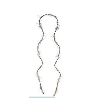 Cipo Decorativo Pascoa Marrom 4,5