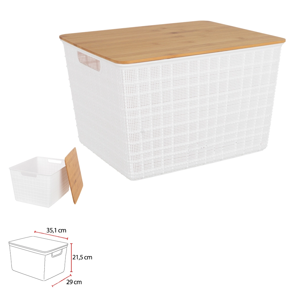 Caixa Organizadora C Tampa Pp 21.5x35.1x29.7cm 76436001 Dea