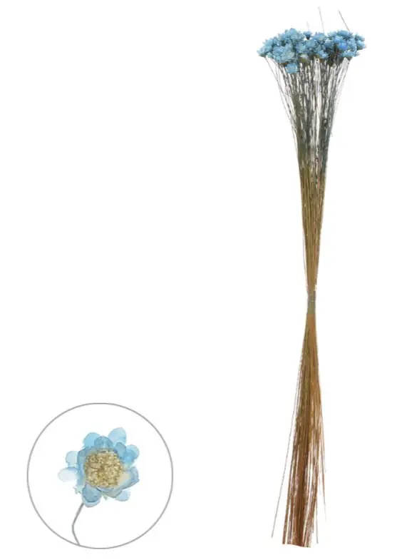 Sempre Viva Desidratado Azul 30cm 68199 Dea