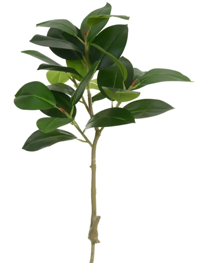 Arvore Ficus Elastica X25 100cm 83252001 Flor Arte