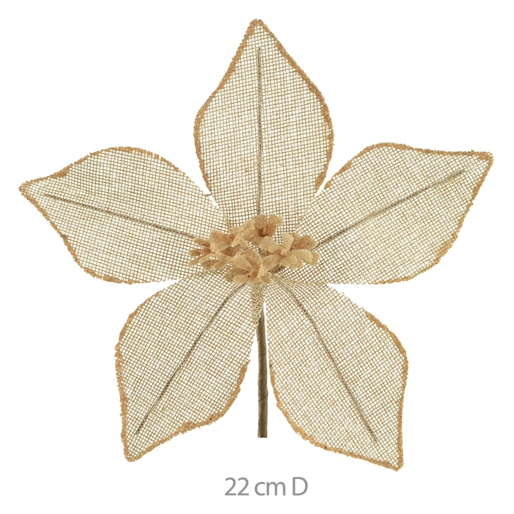 Flor Natal Rustico Champagner 22cm 84789002 Dea