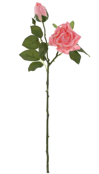 Protea Frosted C/coat Rosa 56cm Vol.1 Florarte