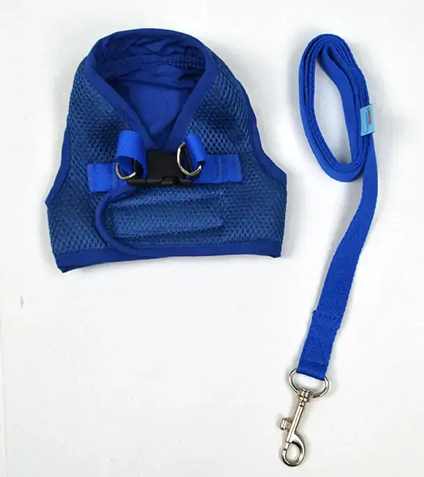 Colpeit Basic Aerado Gd Royal Distrip