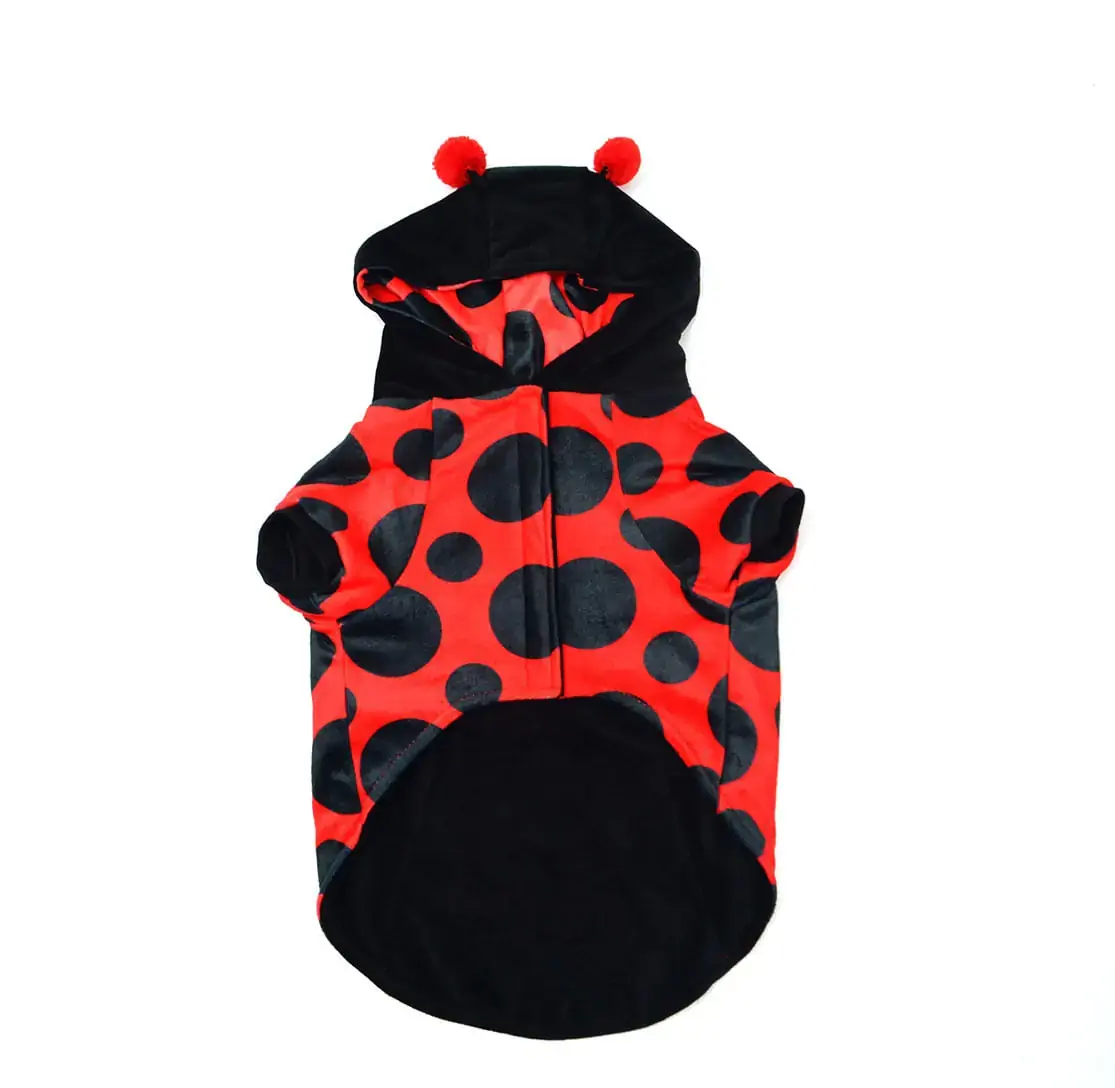 Casaco Joaninha Vermelho/preto 2.