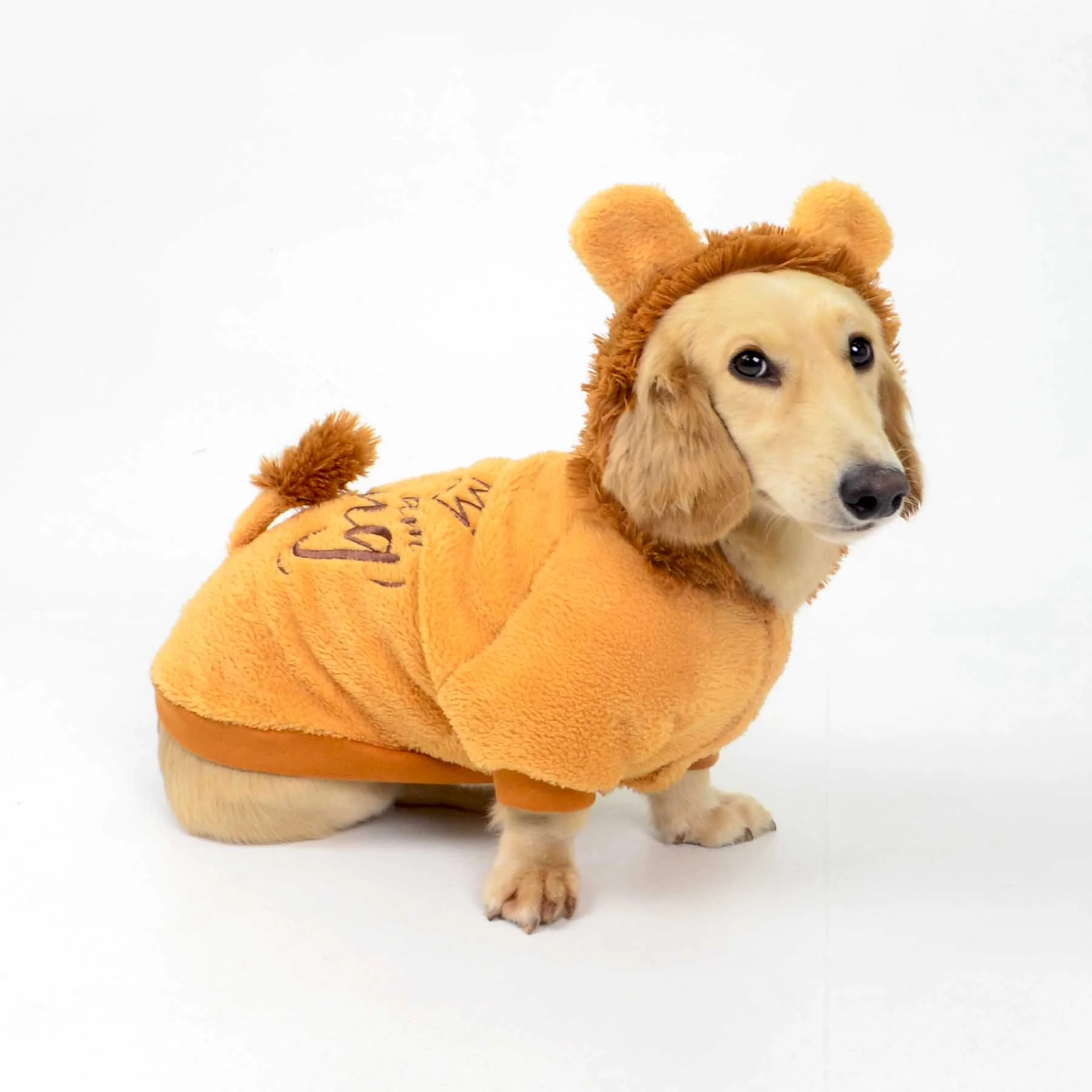 Casaco Leao Laranja 12.
