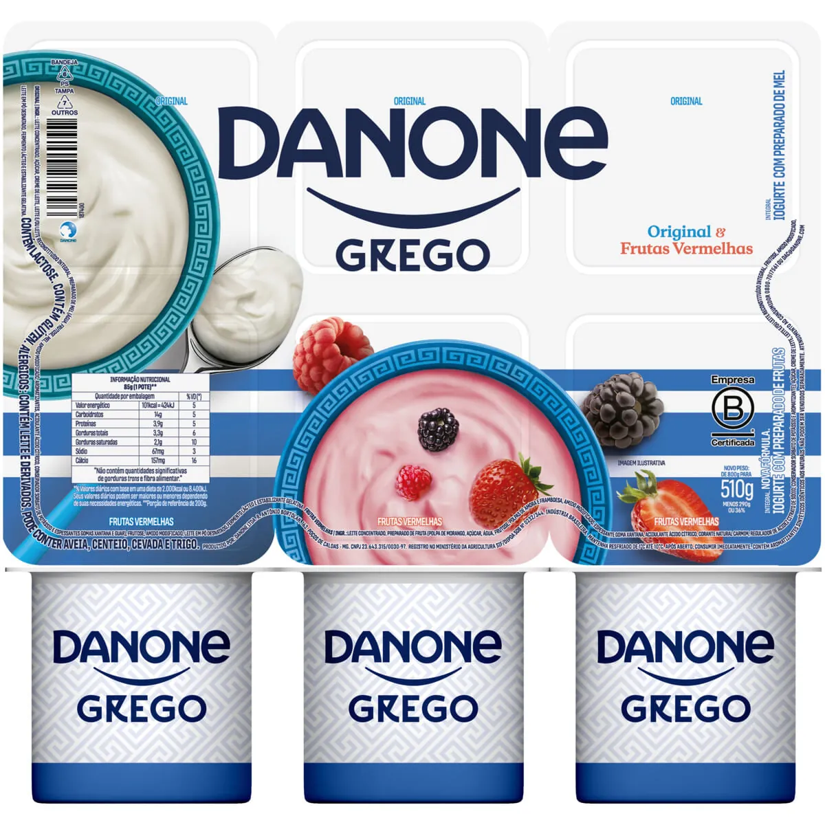 Iogurte Grego Integral Danone + Frutas Vermelhas 510g 6 Unidades