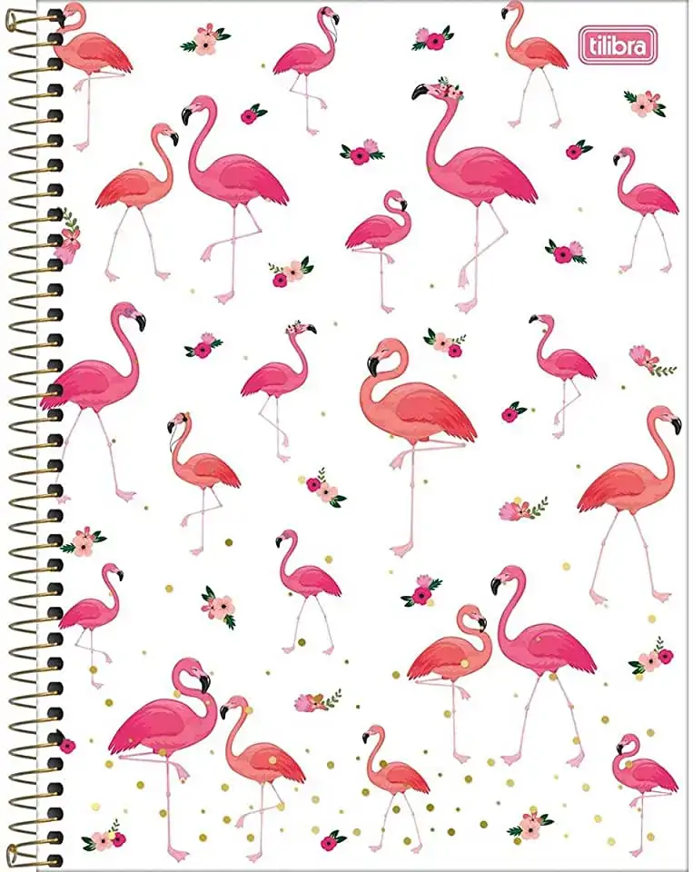 Caderno Tilibra Cd.univ.aloha 160fls