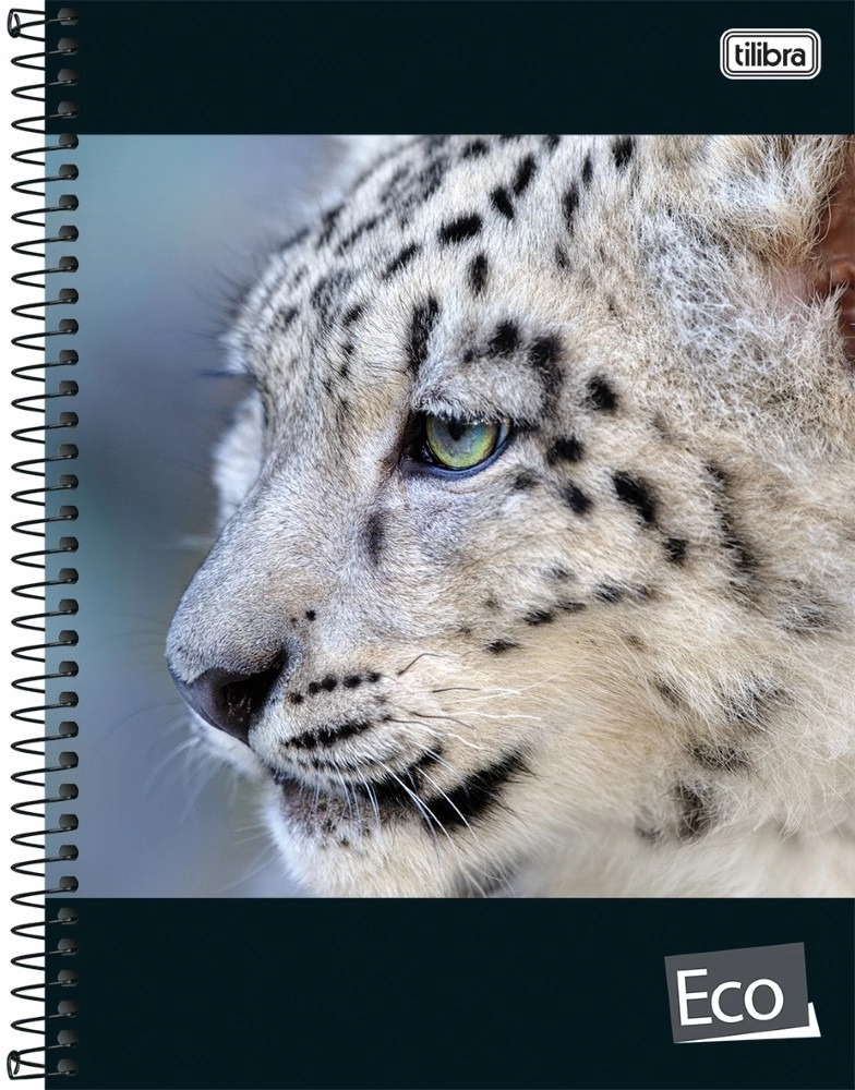 Caderno Universitário Espiral Eco 96 Folhas 500g Tilibra