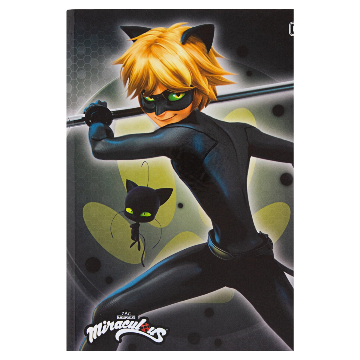Caderno Capa Dura Brochurão Cat Noir Miraculous Tilibra 200mm X 275mm 80 Folhas