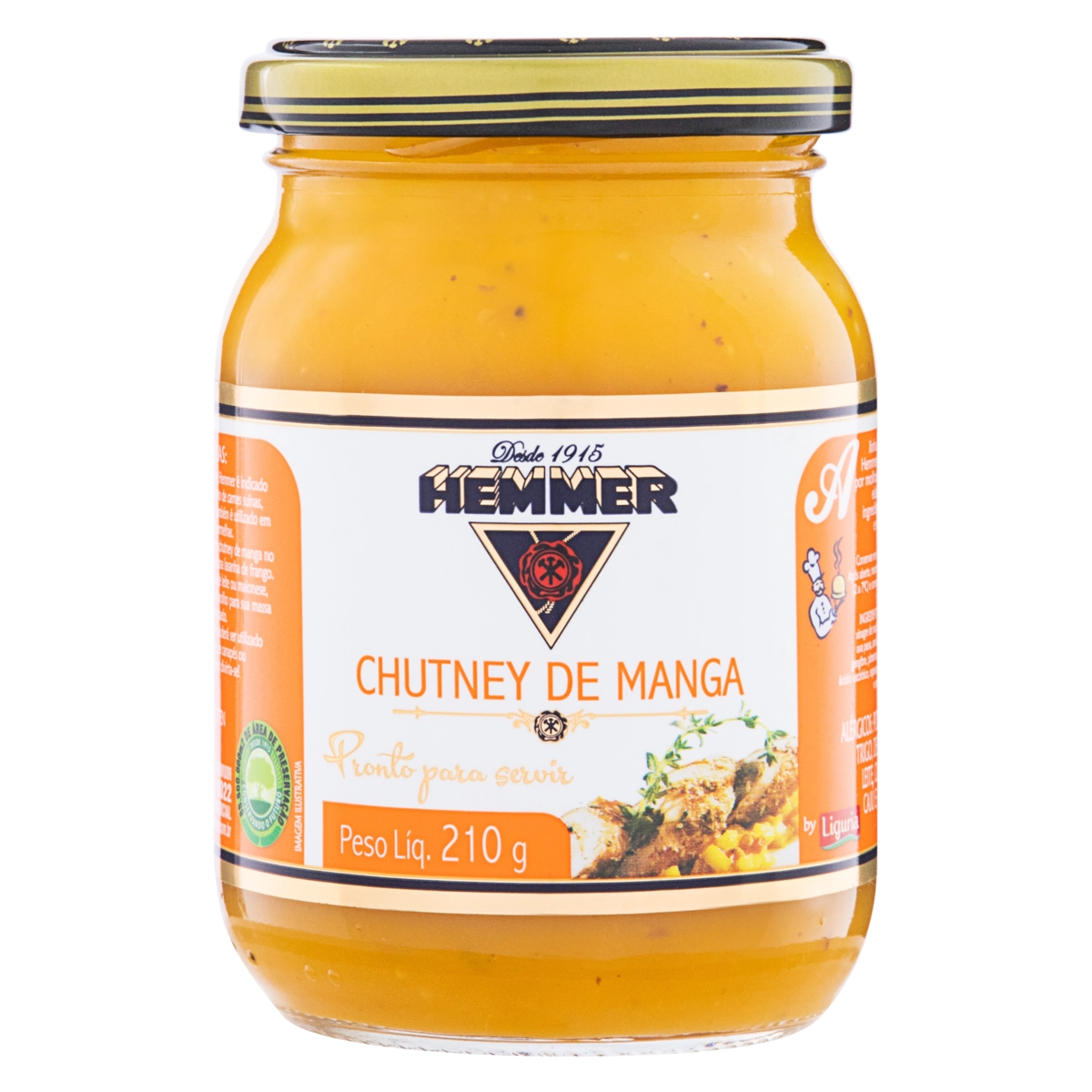 MOLHO CHUTNEY 210G