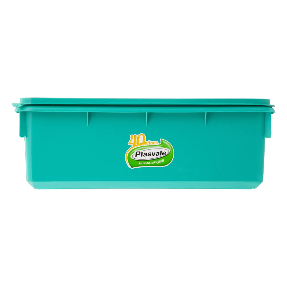 Caixa Organizadora Verde 11l Plasvale