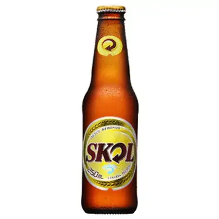 Skol Pilsen Long Neck 1 Unidade
