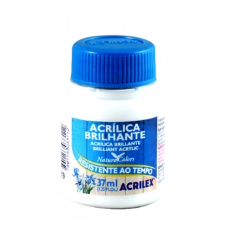 Tinta Acrilica Brilhante 37ml Acrilex 519 Branco