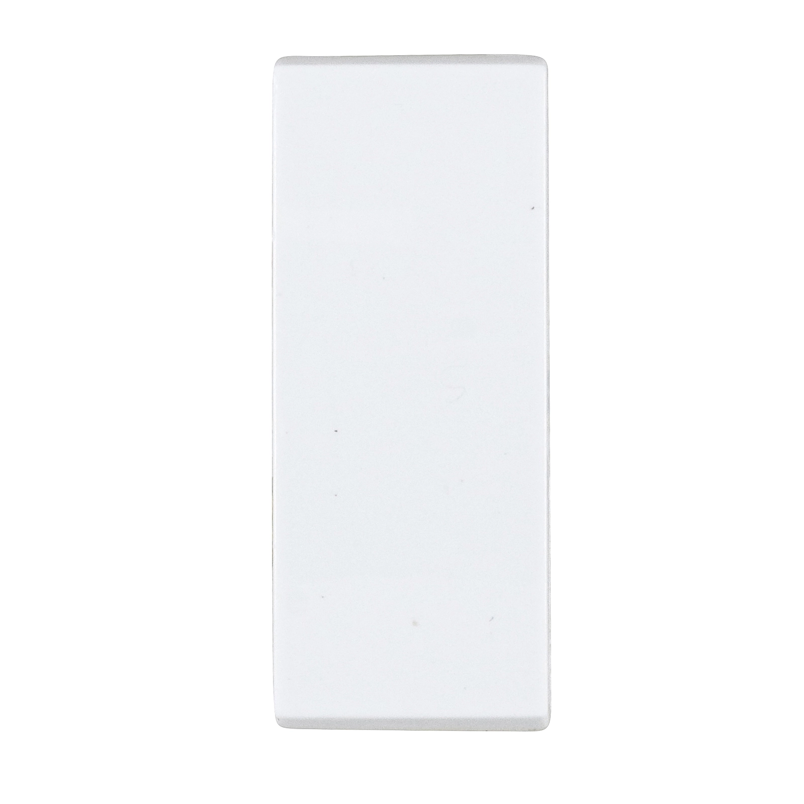 Módulo de Interruptor Paralelo 10A Branco Brava! Iriel