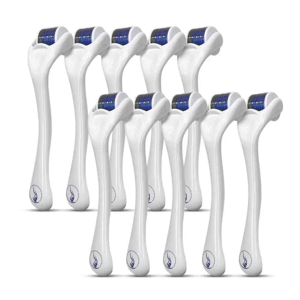 Smart Kit 10 Derma Roller 540 Agulhas 0,25 - Smart GR