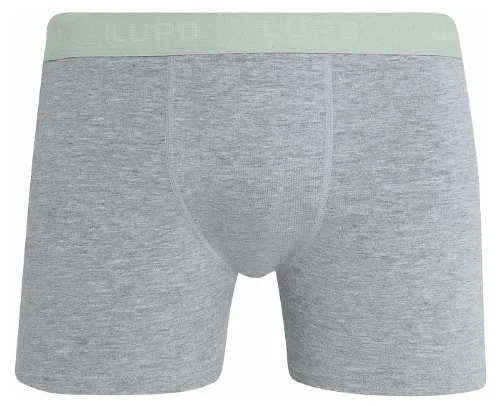 Cueca Boxer Lupo Elástico