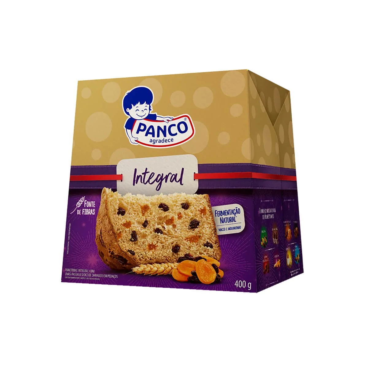 Panettone Integral PANCO Com Doce De Damasco E Uva Passa Caixa 400g