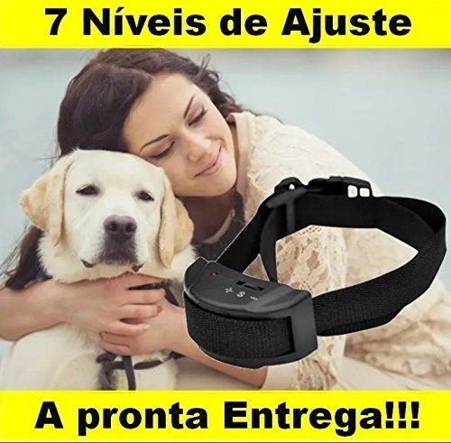 Coleira Forrada P/cachorro Pequeno
