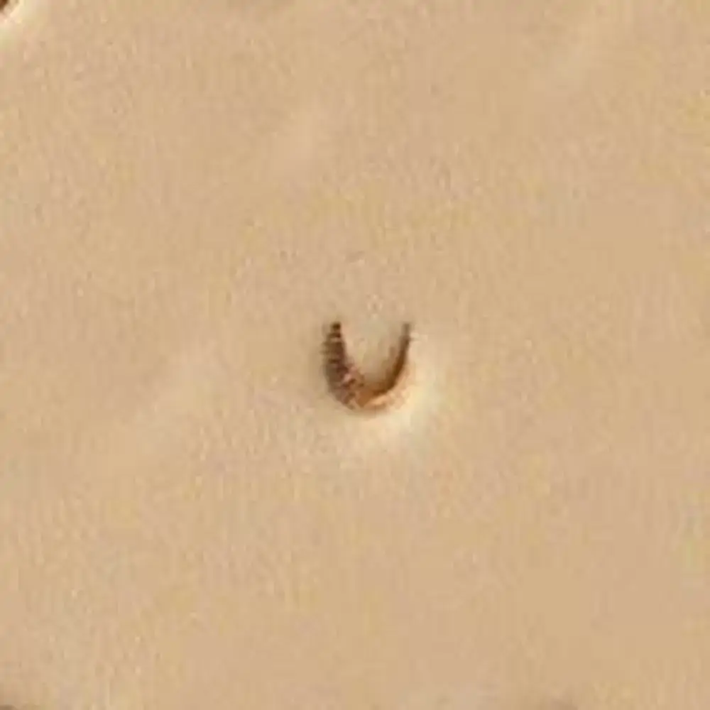 Pino Triangulo 1242