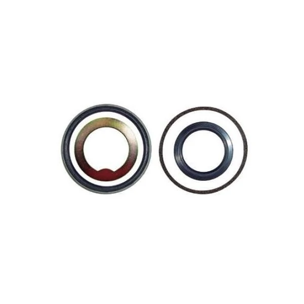 Kit Retentor do Cubo de Roda Traseiro Roda Raiada - SABO 07281KIT
