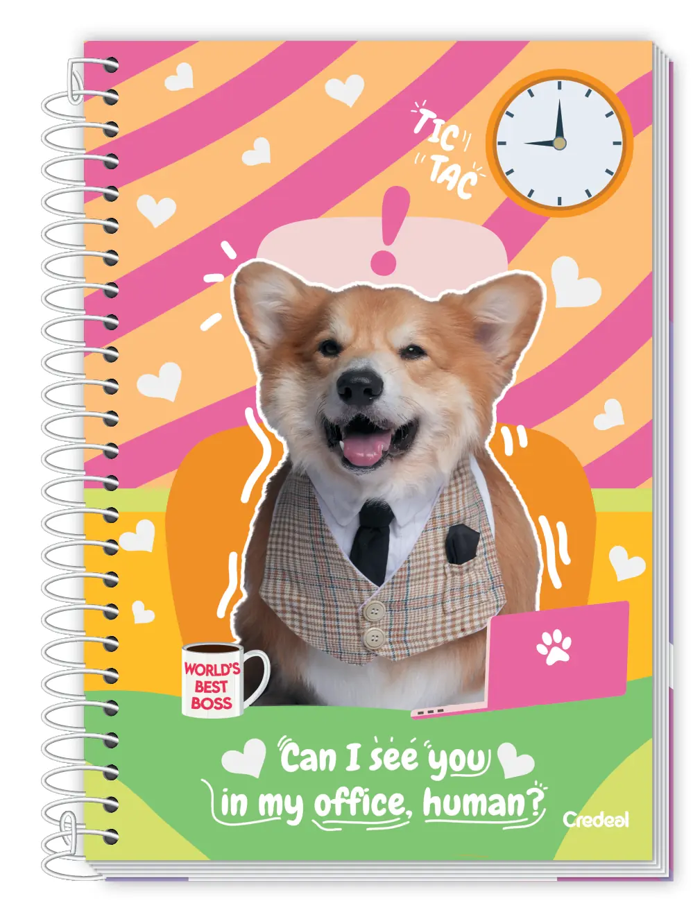 Caderno Credeal Cd 8