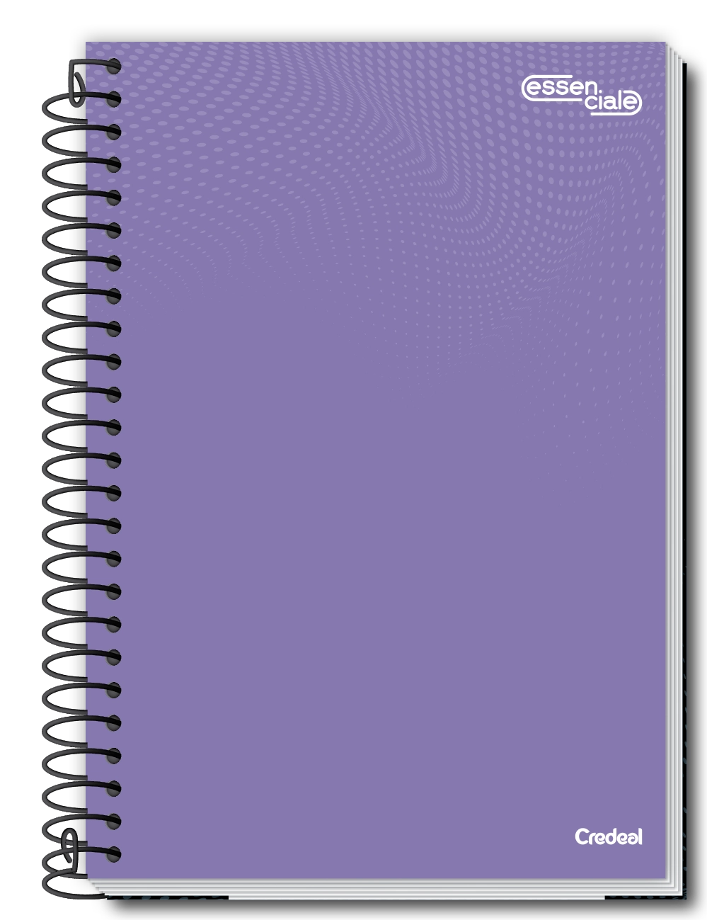 Caderno Esp Univ Cd 10m 160f Essenciale 277188 Credeal