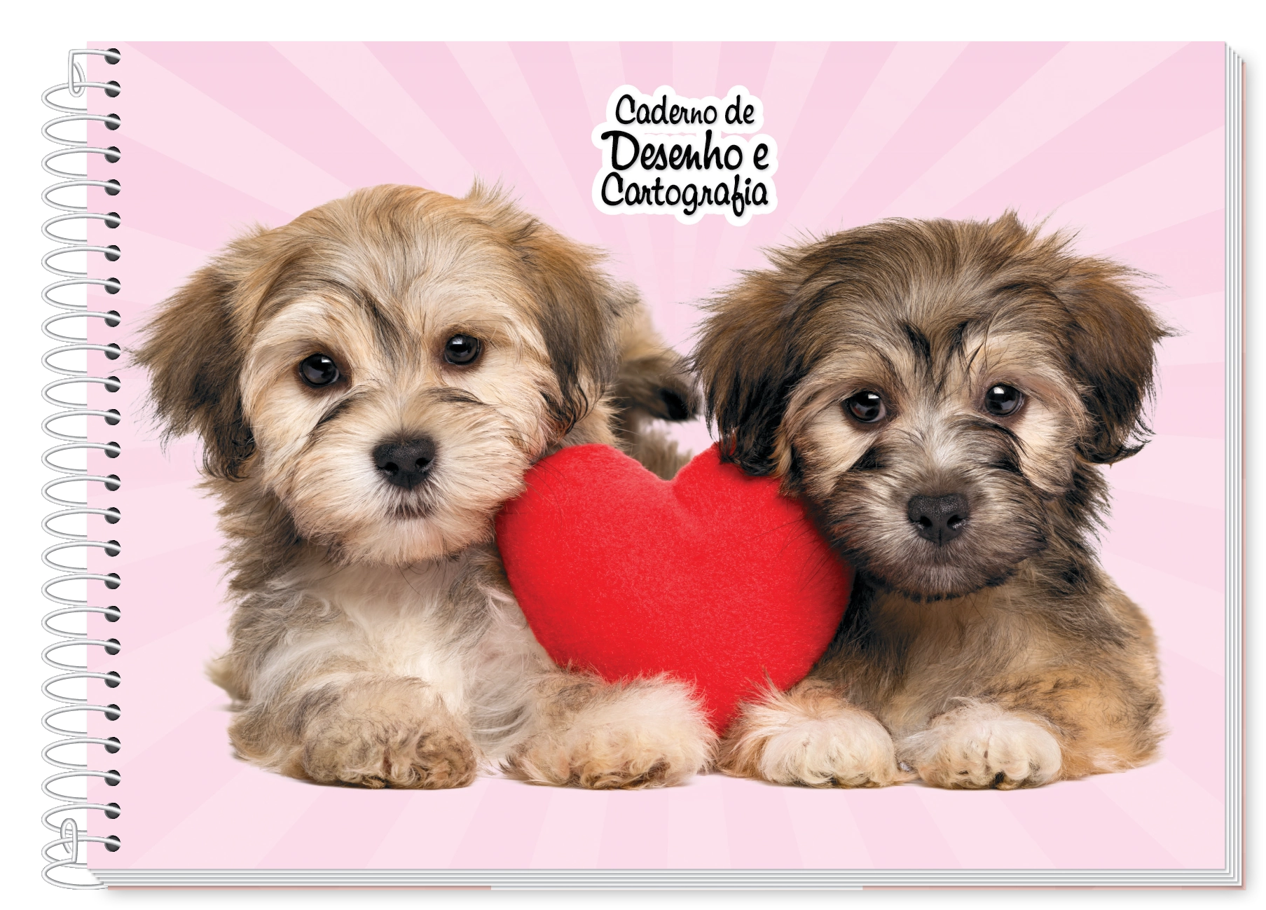Caderno Esp Univ Cd Cartografia 80f Feminino 357880 Credeal