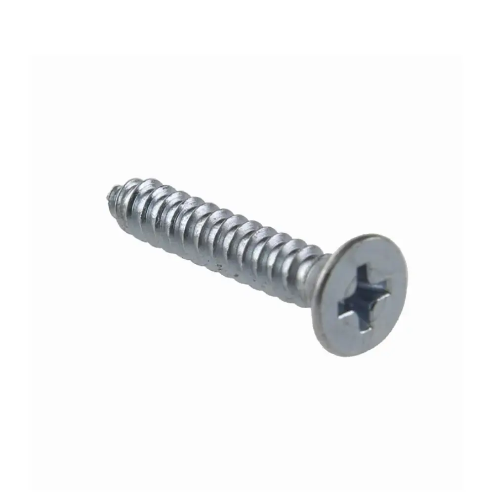 Parafuso Auto Atarraxante Chata Philips Inox 100 Peças Wm 4,8x32