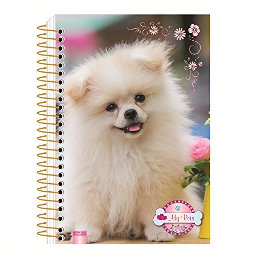 Cad Cd My Pets 1/4 96 Fls