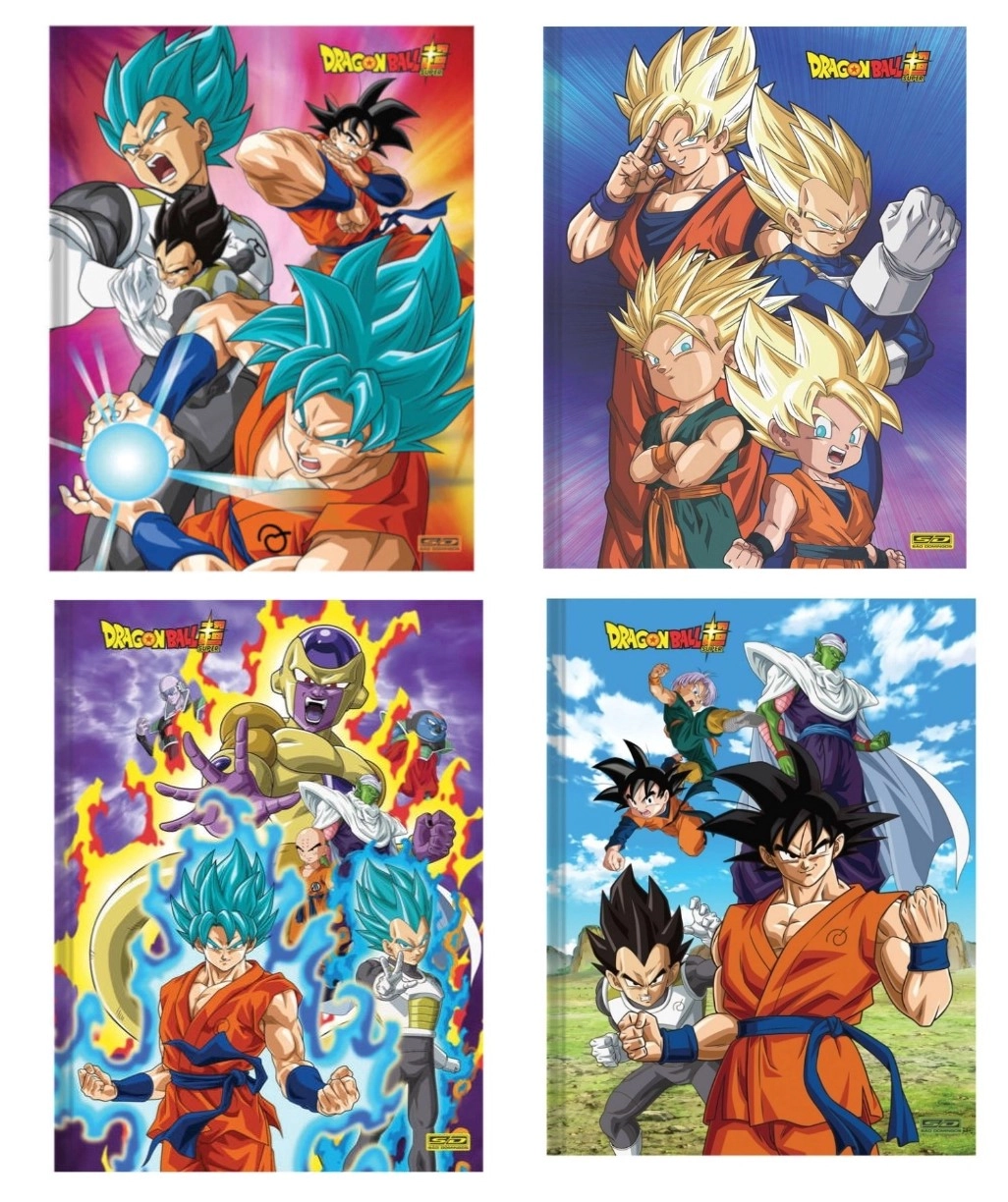 Cad.sd Dragon Ball Super Brochurao 1/1 Cd 96f