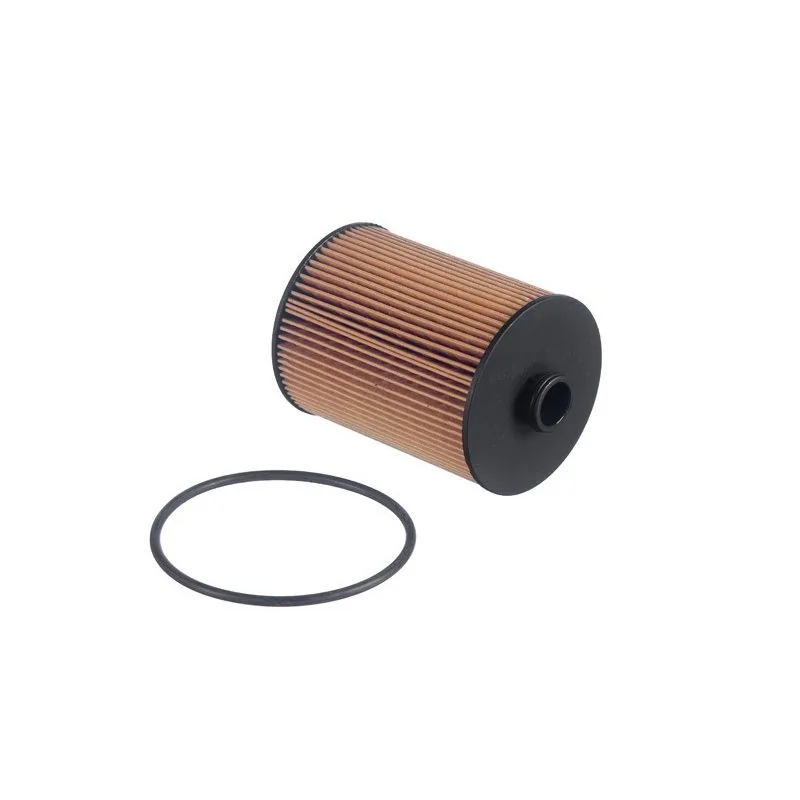 Refil do Filtro de Óleo - TECFIL PEL683
