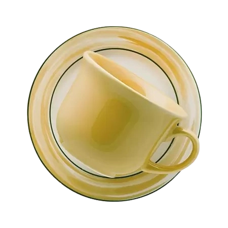 Xicara Cha 200ml C/pires Palmeira