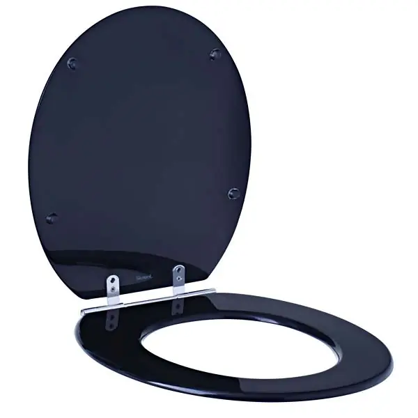 Assento Sanitário Convencional com Fechamento Comum Oval Poliéster Preto Sicmol