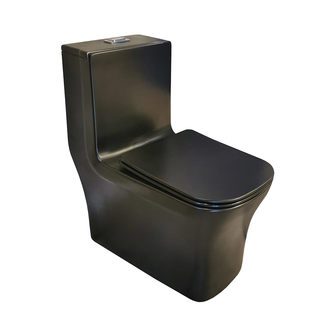 Vaso Sanitário Monobloco Preto R 450 Assento Brilhante Reno