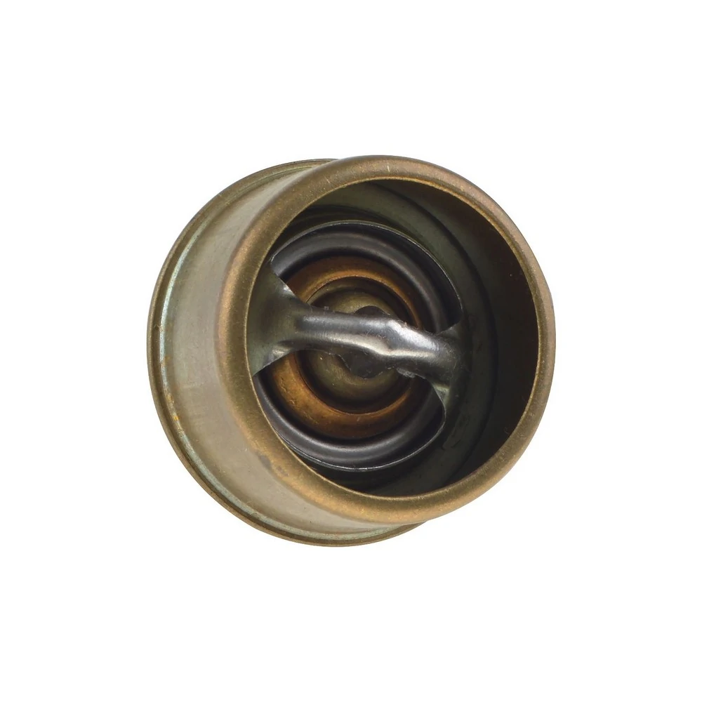Refil da Válvula Termostática - MAGNETI MARELLI MMVT24787K