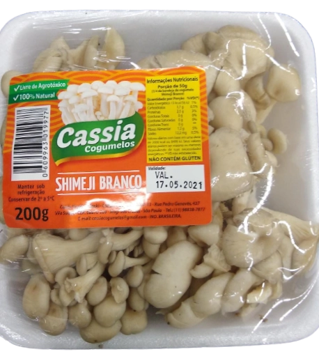 Cogumelo Cassia Shimeji