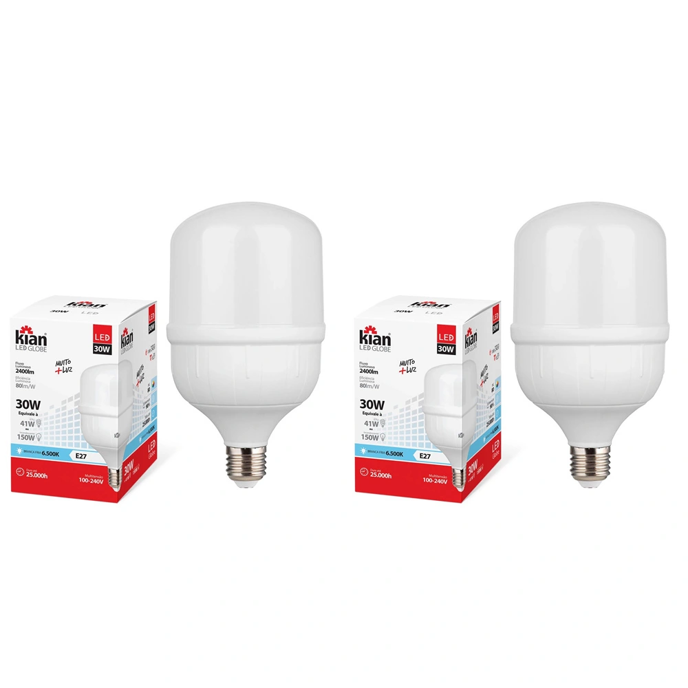 Kit 2 Lâmpadas De Led Globe E-27 30w 6500k Bivolt Kian