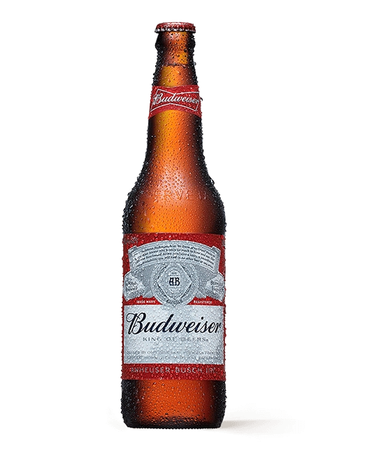 Budweiser One Way 600ml Cx C/12 Npal