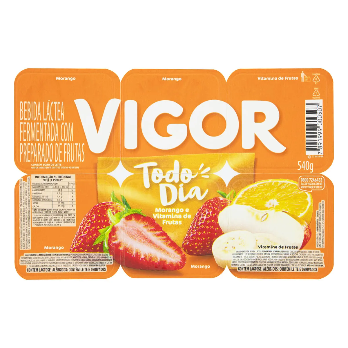 Bebida Láctea Fermentada Vigor Todo Dia Morango e Vitamina de Frutas 6 Unidades