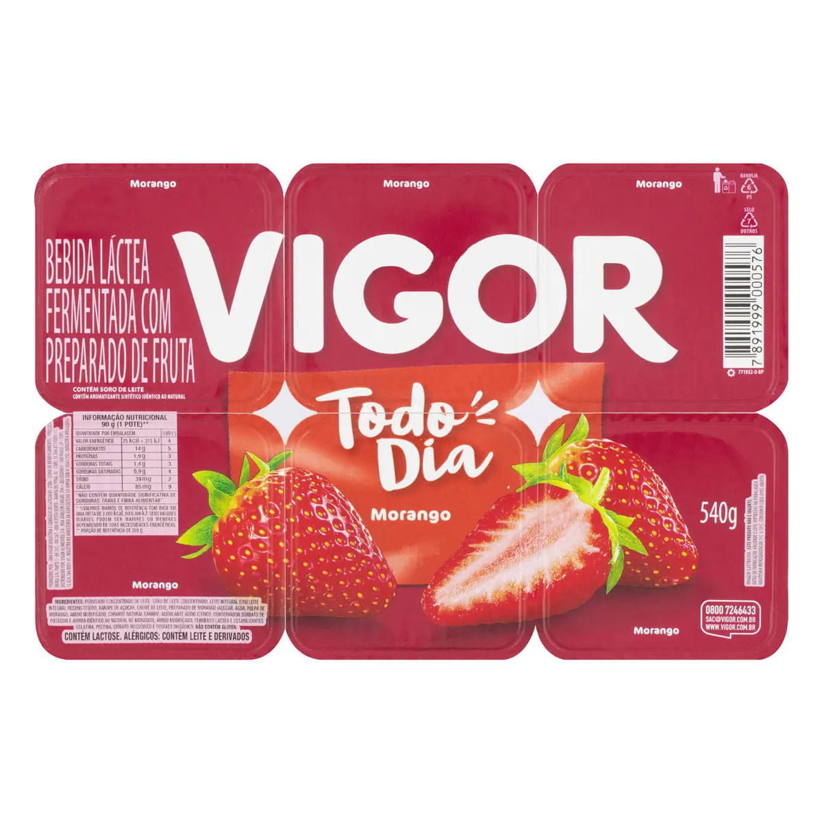 Bebida Láctea Vigor Todo Dia, Morango, 540g 6 Unidades