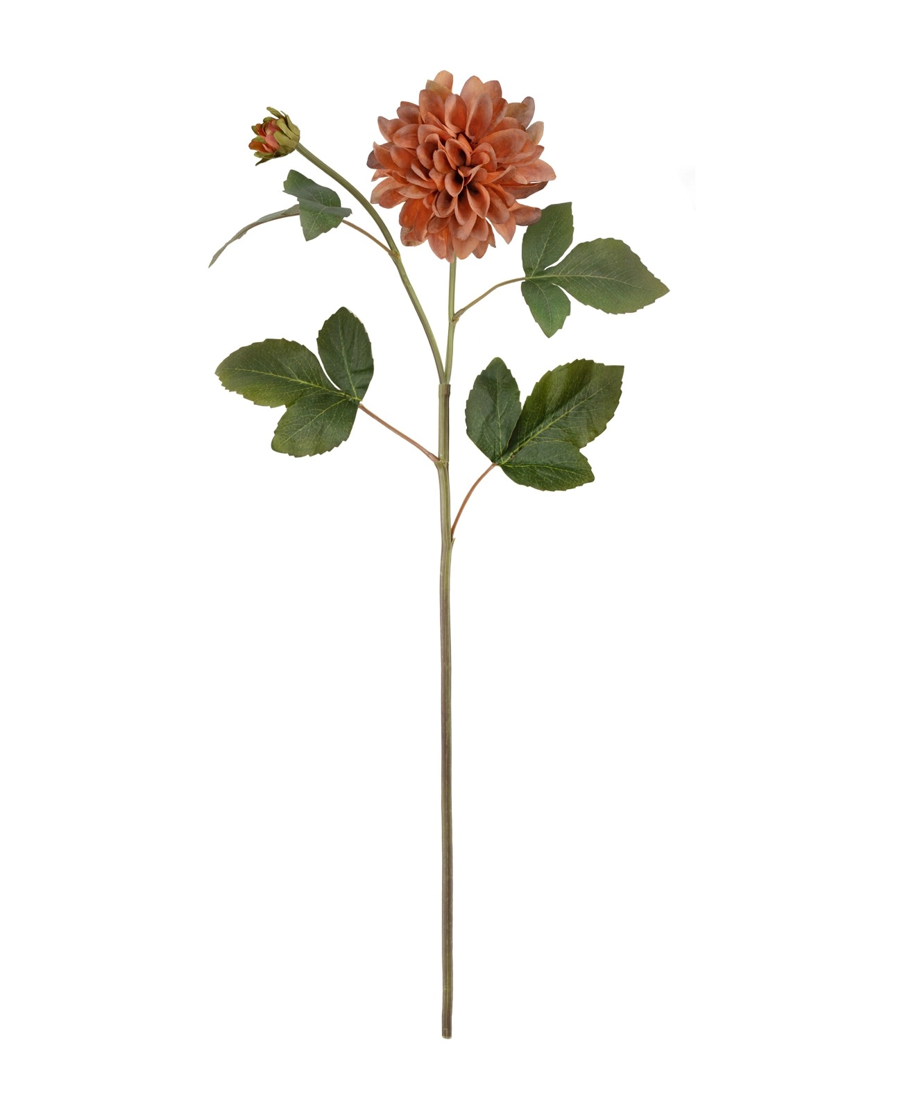 Haste Dalia 70cm Ac204 3 Brilliance