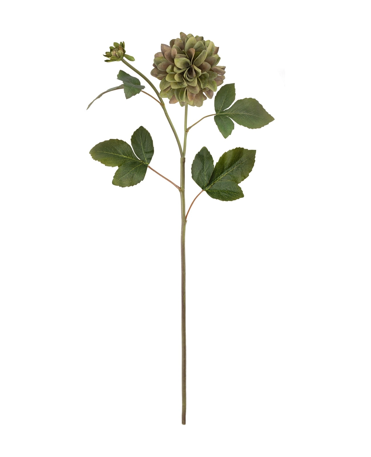 Haste Dalia 70cm Ac204 4 Brilliance