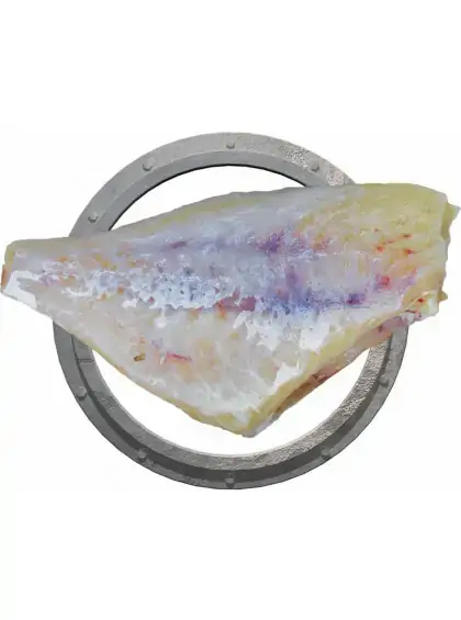 Peixe Porco Hg S/pelepioneira Pct 800g