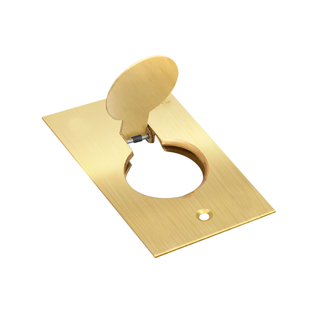 Placa 1 Módulo Para Piso 4x2 – Latão – Tpl001
