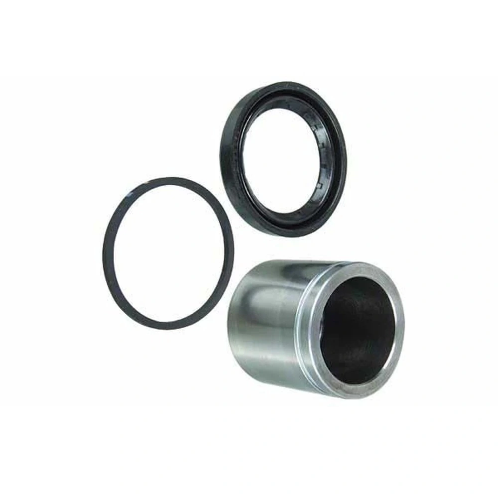 Reparo de Vedação da Pinça - BOSCH FREIOS 0204062077
