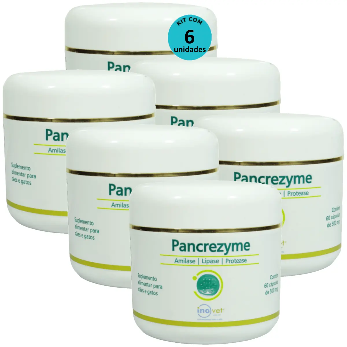 Pancrezyme 60 Cápsulas 500mg Para Cães e Gatos Inovet Kit Com 6