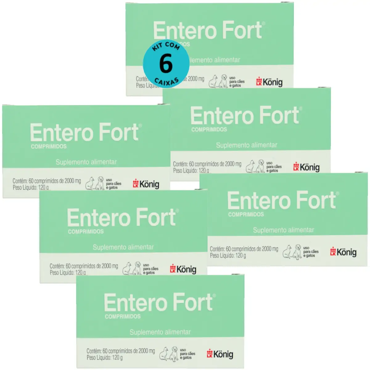 Entero Fort 2000mg Com 60 Comprimidos Para Cães e Gatos Kit Com 6